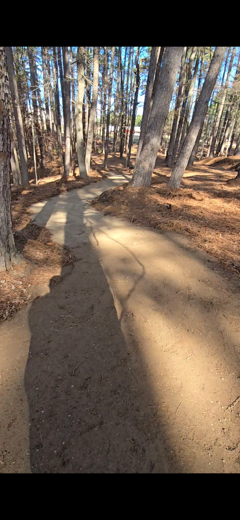 Synergy Park Walking Trail